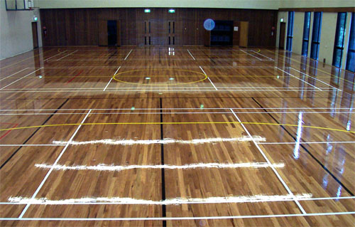 Basketball Court
