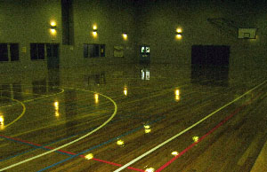 Floor Restoration