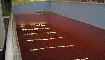 Sport Floor
